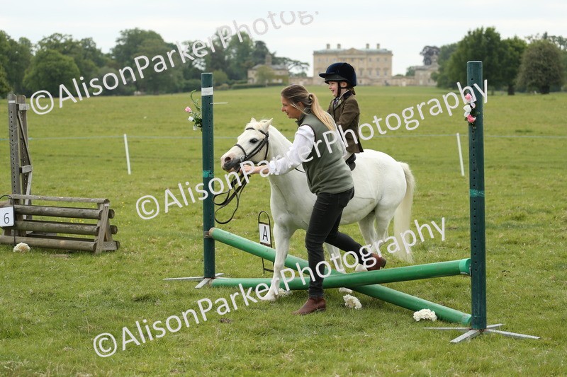 20250517-0549 - Class 20 - Beginners Working Hunter