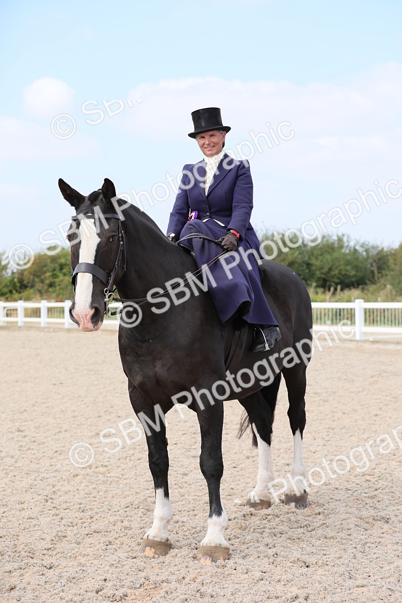 SBM_14633 - Class 211 Best Side Saddle Horse/Pony