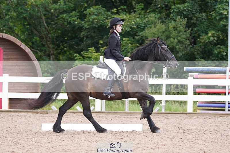240809A-095250-00349 - Dressage Competition