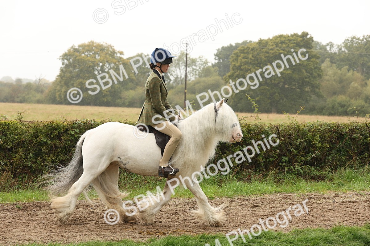 SBM_72668 - S70 - Traditional Cob Ridden