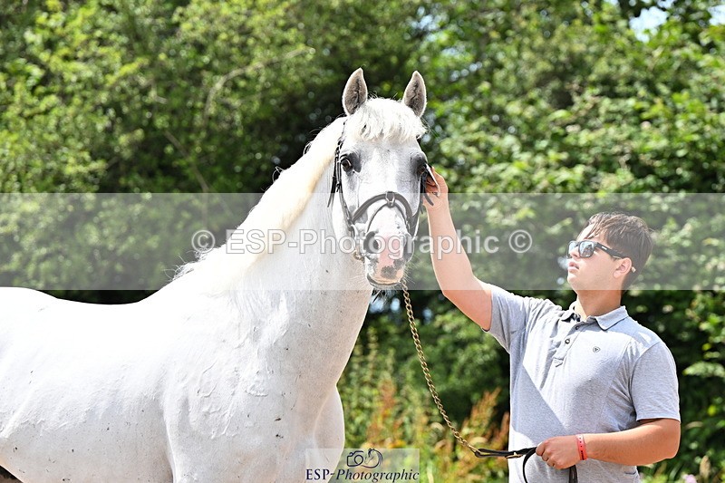 240718A-105306-01566 - Trot Up 1pm to 2pm