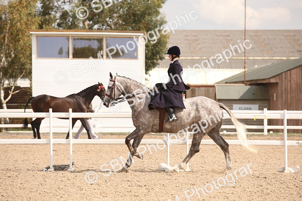SBM_06732 - Class 24 Concours d'elegance
