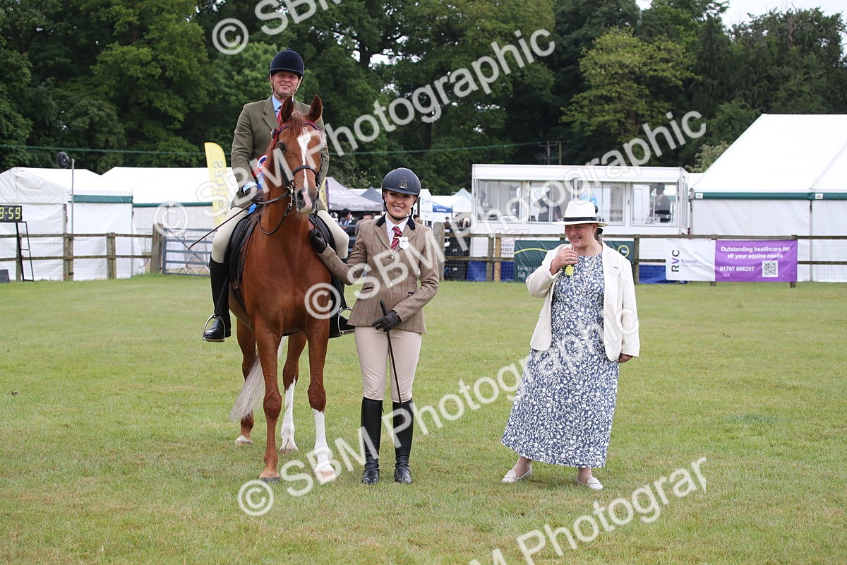 SBM_03652 - Class 21 - 22 - Ridden Arab and Part Bred/Anglo Arab