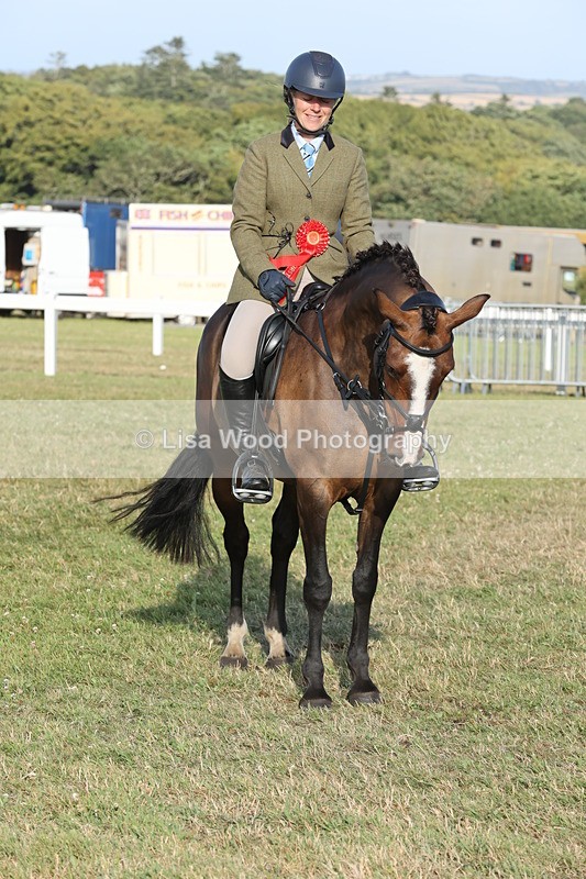 JPP_3403 - Class 22: Working Hunter 90cm