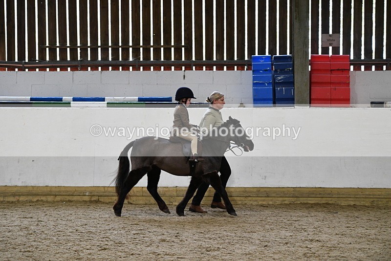 WJ5_6608 - Class 10 Childs Pony