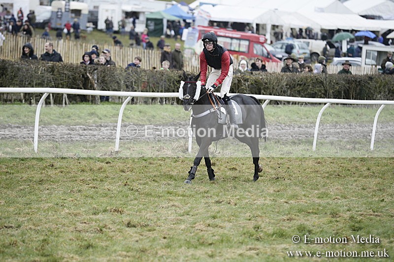 PtP 020418 -423 - Old Berks Point-to-Point Races Easter Monday 02/04/18