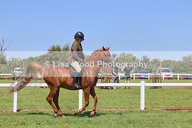 IMG_2214 - Class 37: Pure, Anglo & Part Bred Ridden Arab