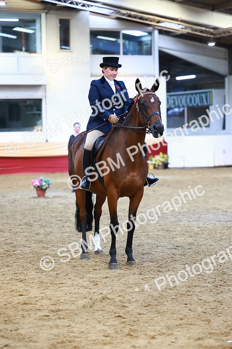 SBM_23355 - class 906 - Supreme Final - Ridden Pre Vet