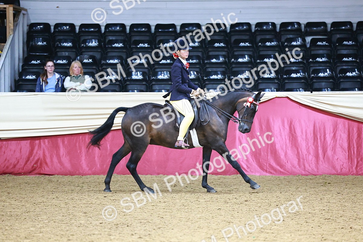 SBM_23341 - Class 904 - Supreme Final - Ridden Diamond