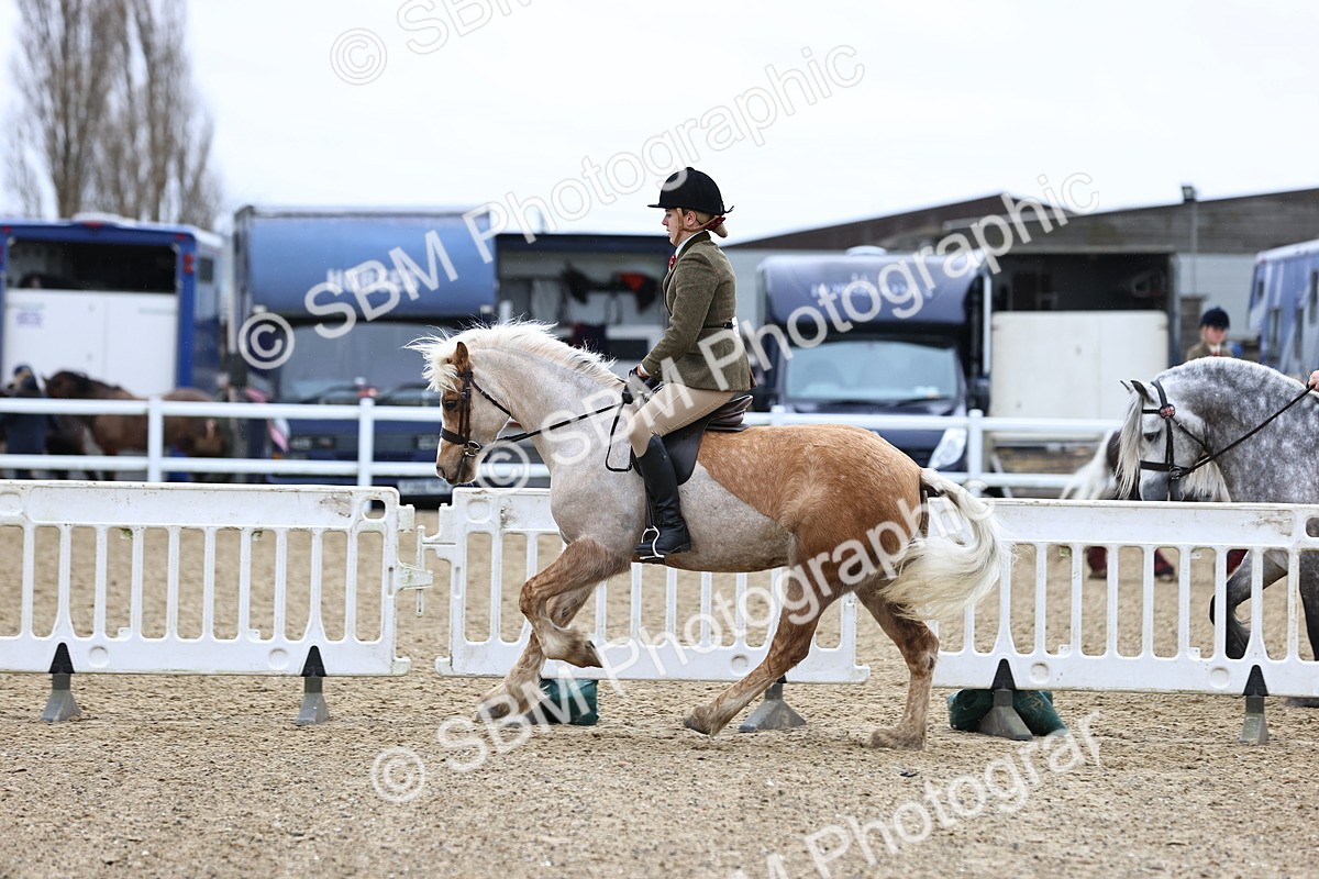 SBM_007002 - Class 29 - 30 - M&M Pure Novice Small-Large Breeds