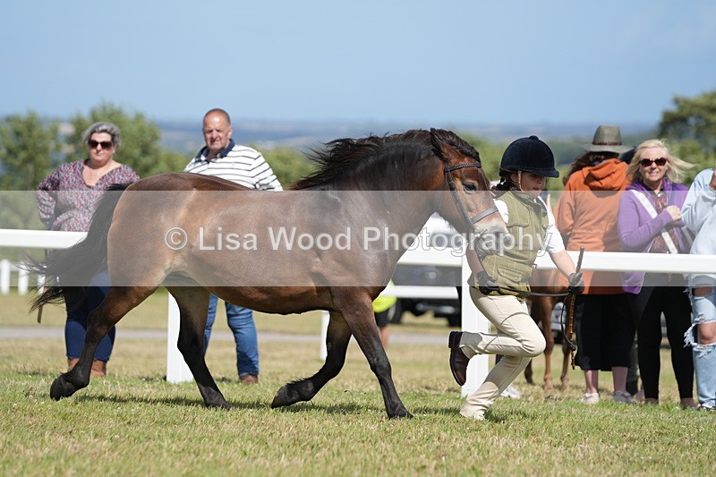 DSC07559 - Class 62: Child Handler