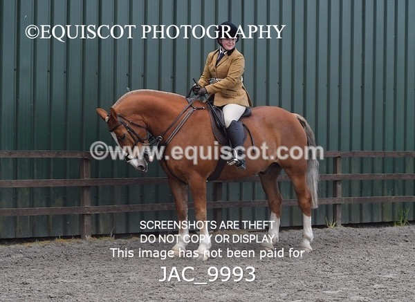 JAC_9993 - CLASS 3 Intermediate Working Hunter (0.70m - 0.85m)