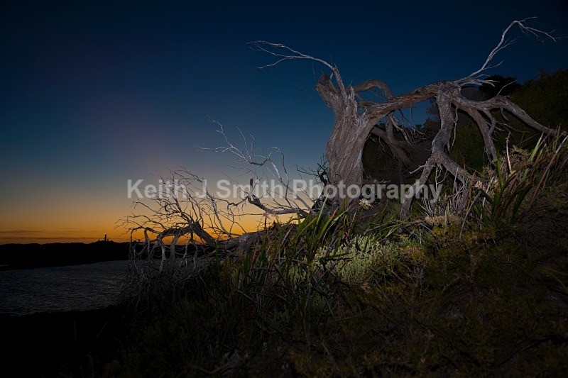 YR6M4277 - While your were sleeping