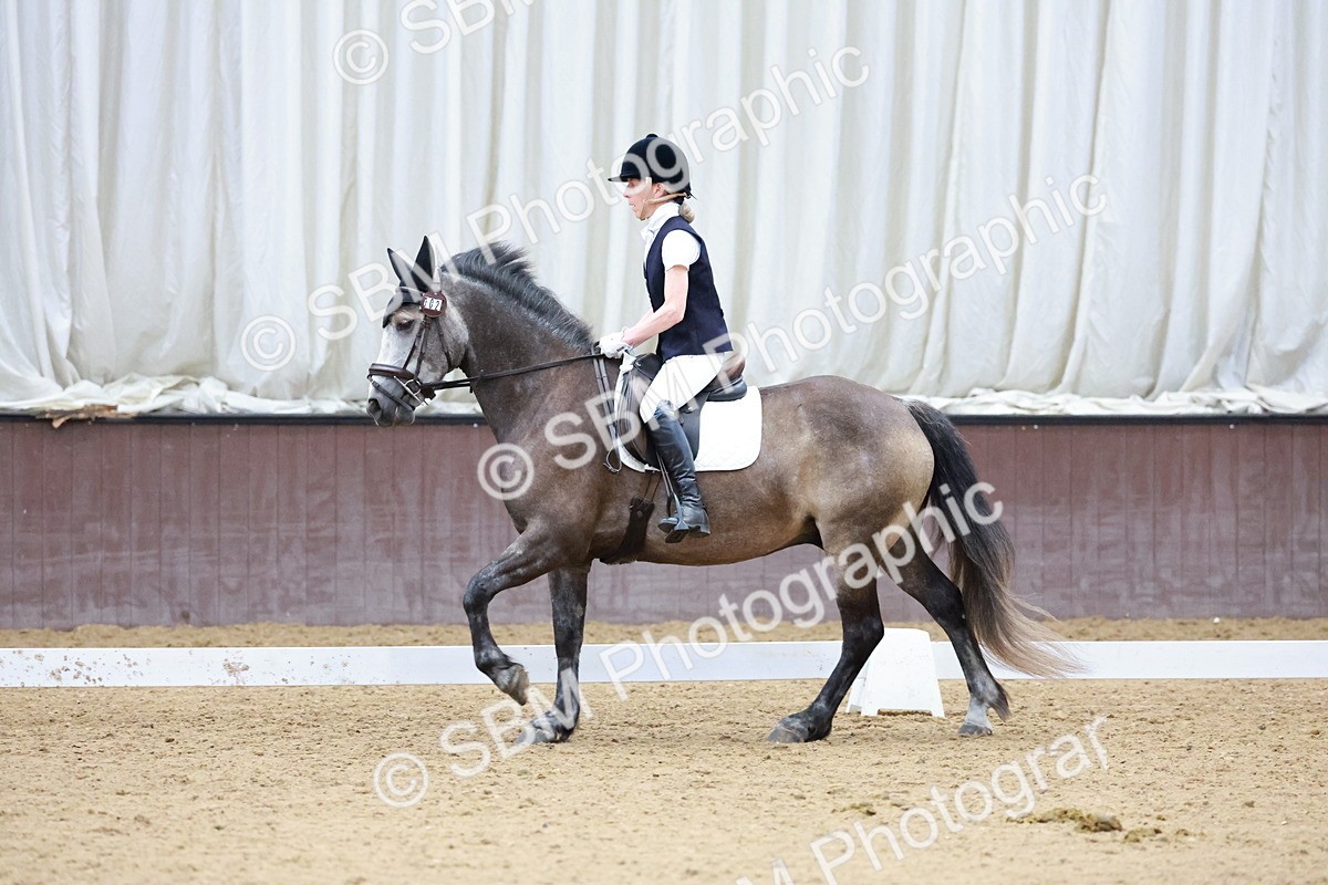 SBM_024875 - Class 8-9 - MQ Open Prelim 2 - Novice 1