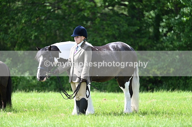 WJ7_1436 - Class 11 Condition & Turnout