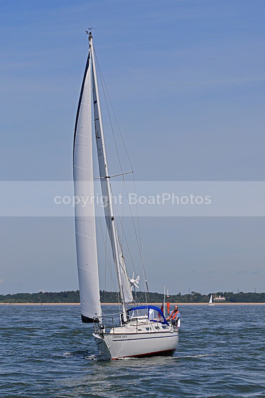 180603 CORNISH GOLD GBR2264L 1Y3A4057_Edit - 180603 CORNISH GOLD GBR2264L