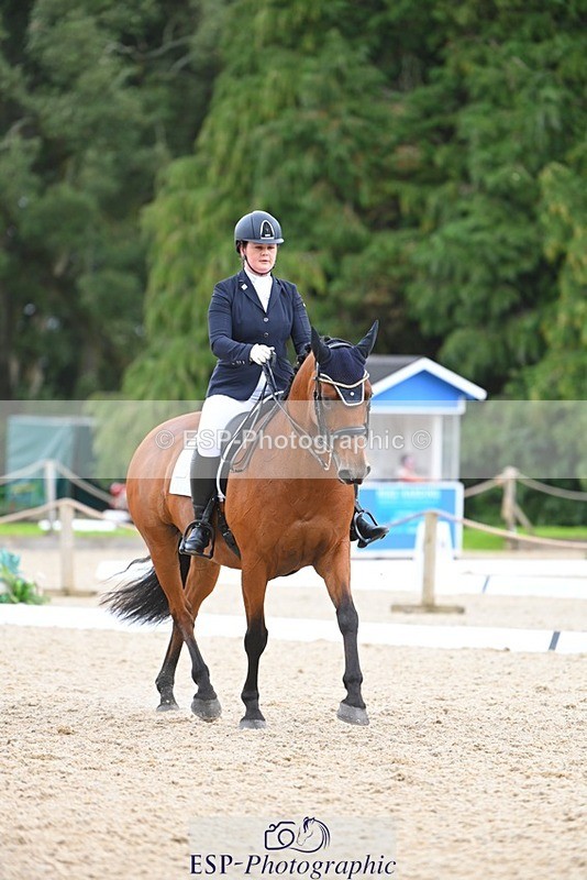 230813-132148-07546 - Cls 13 Medium Bronze 13.15 to End