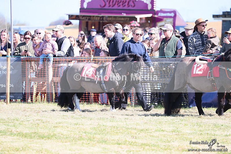 Shet 060426 23 - Shetland Pony Racing Paxford Races Easter Mon 06/04/26