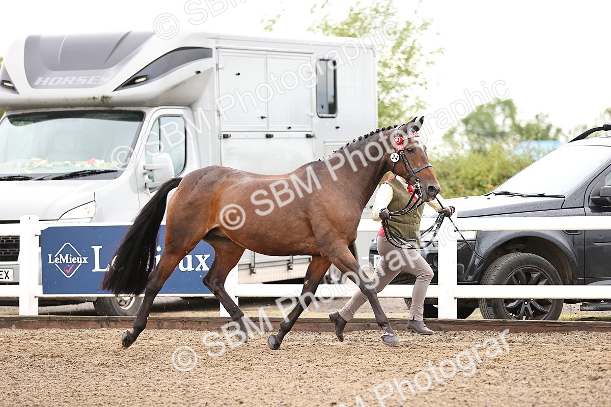 SBM_00045 - Class 50 - Best Turned Out - IH