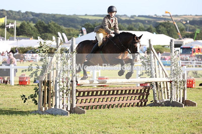 JPP_3222 - Class 21: Working Hunter 80cm