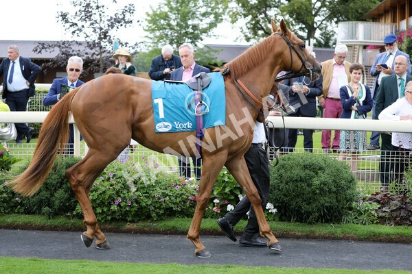 yr17082022r7-5 - Race 7 5.20pm Sky Bet Nursery Handicap