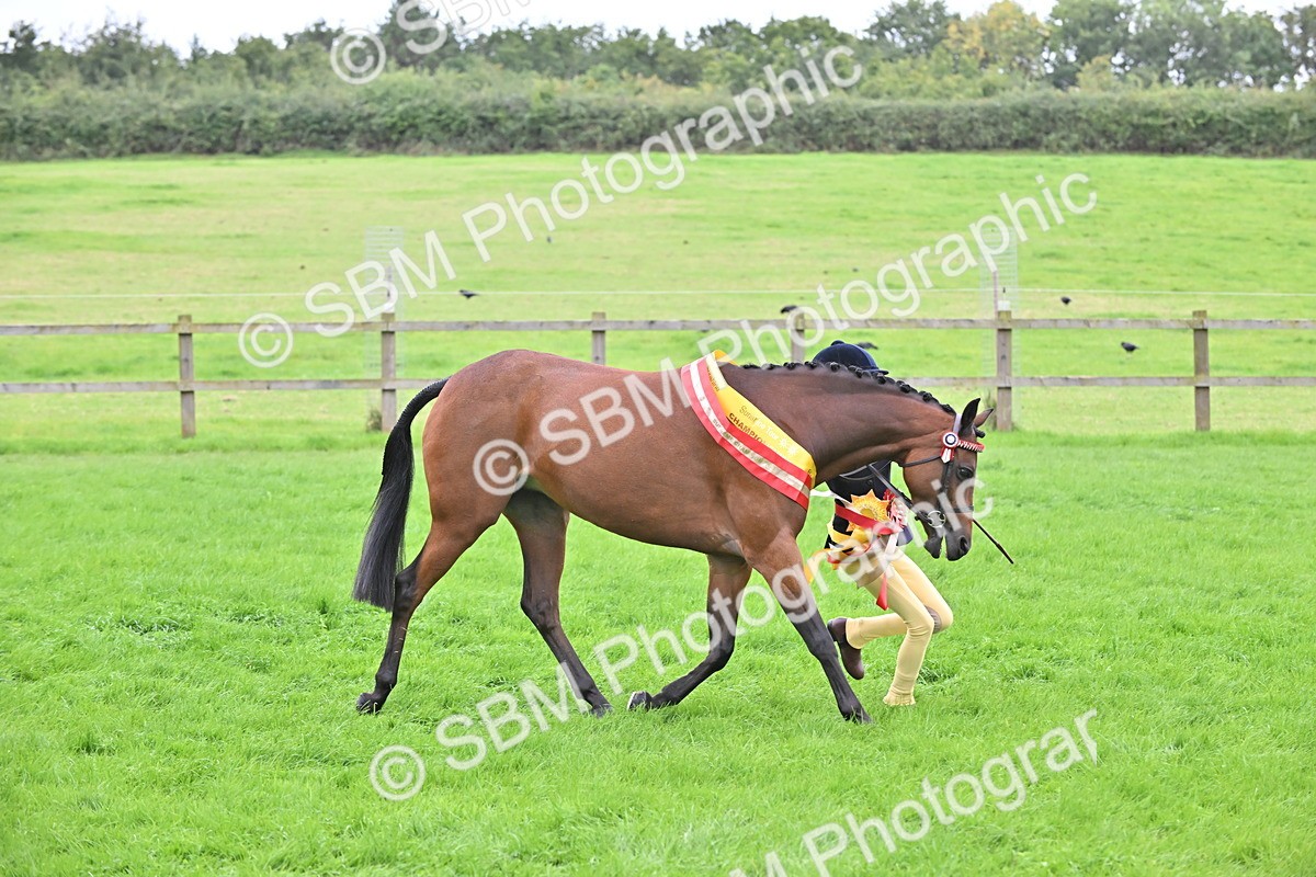 SBM_65063 - In Hand Pony & Younstock Supreme Championship