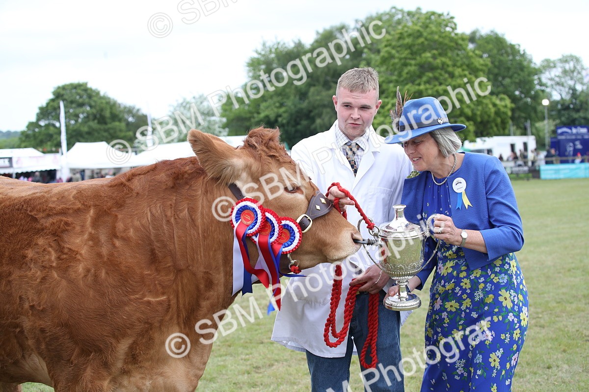 SBM_07925 - Grand Parade
