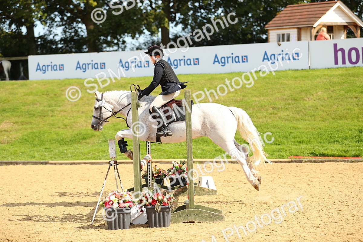 SBM_67335 - J17 - Junior Pony 80cm Championship