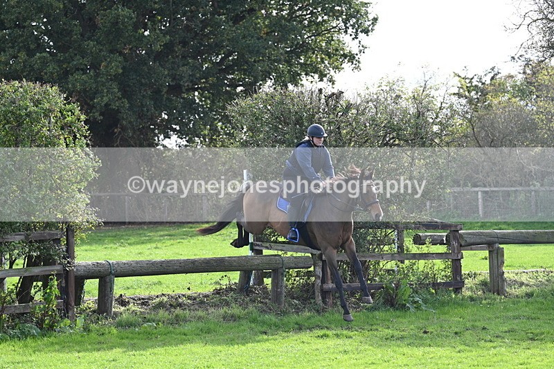 WJ7_0956 - Time 14:27 to 15:11