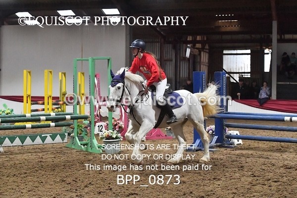 BPP_0873 - CLASS 6 80CM