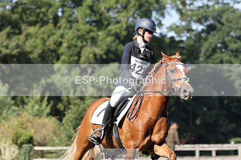 250823A-103935-27771 - Arena D