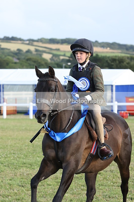 JPP_3795 - Working Hunter Championship