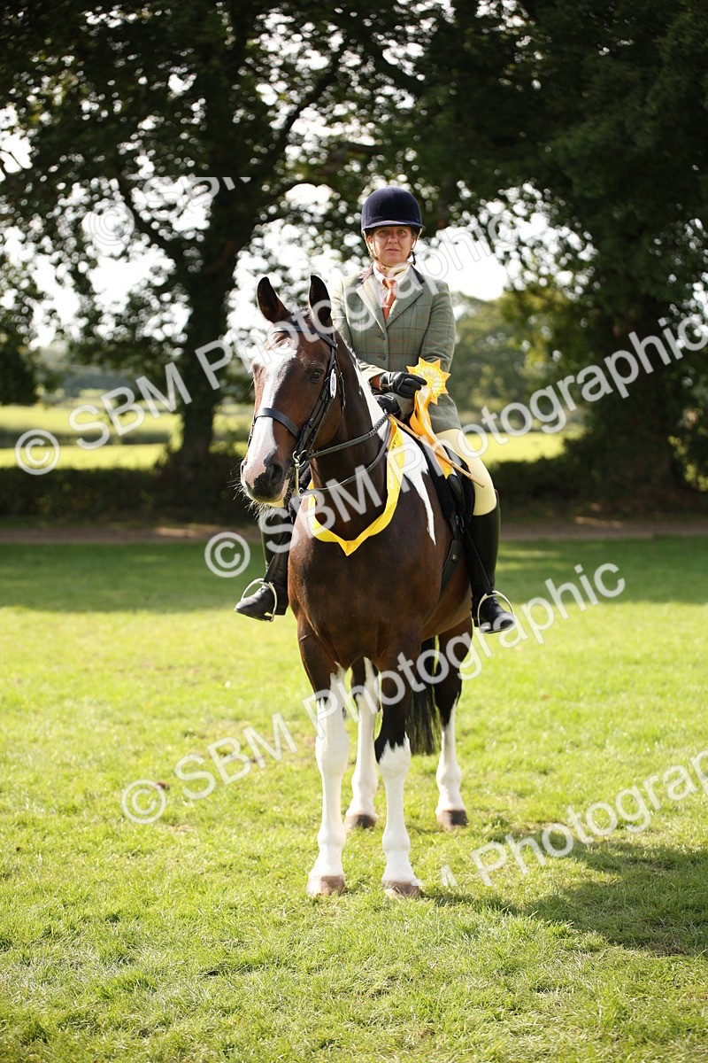 SBM_70146 - S65 - Piebald & Skewbald Horse Ridden