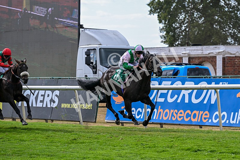 010826-Race 6-La Peregrina-3336 - Race 6 16.22pm Vision PVC Carlton Miniott Thirsk Handicap