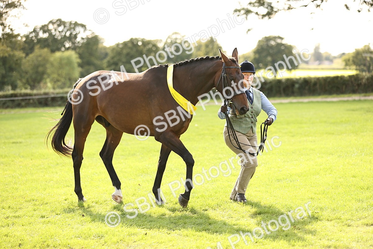 SBM_26309 - S5 - Novice & Newcomers In Hand
