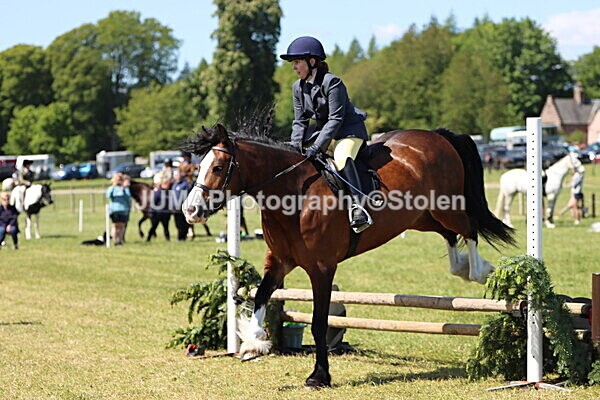 IMG_3496 - Working Hunter