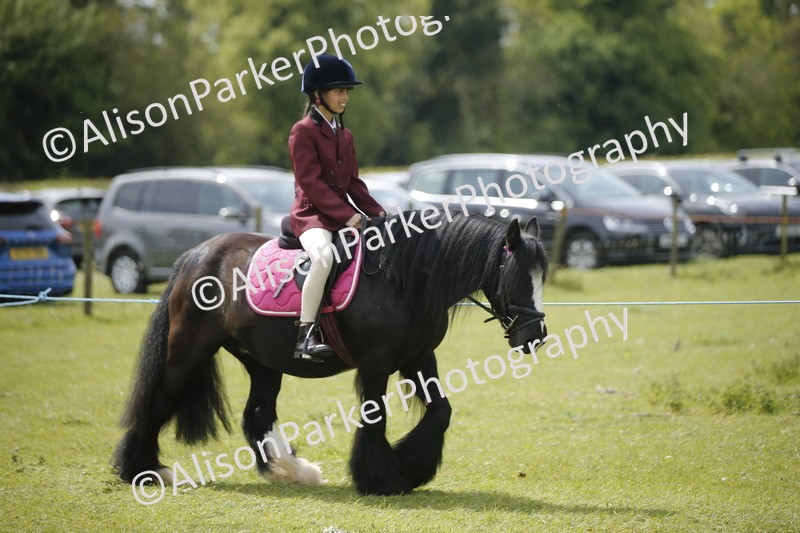 20260426-3442 - Class 11 - Best Mane and Tail