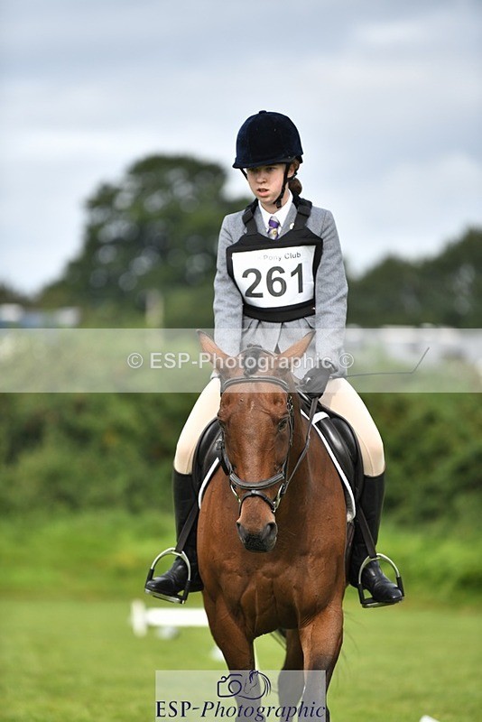 230826-101531-15411 - Sections C & D 10 to End