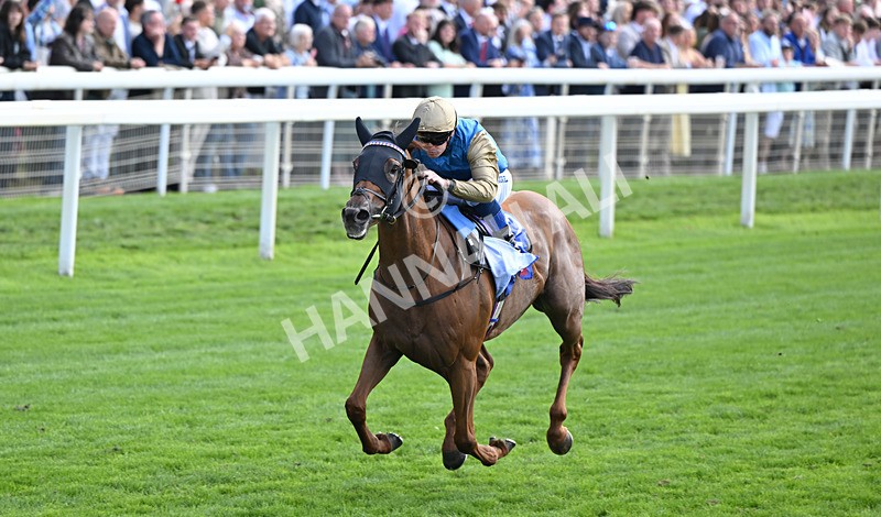 220826-004 Archivist - Race 1 13.50pm Sky Bet Strensall Stakes