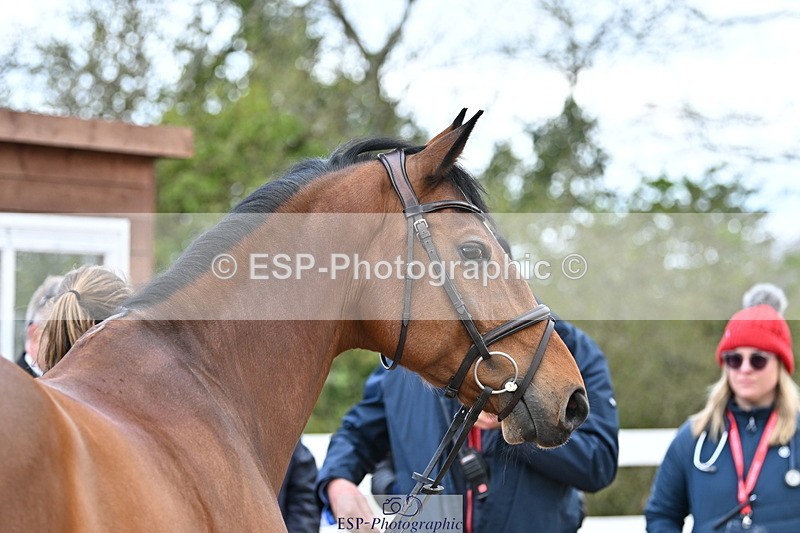 240417A-112725-00011 - 11am to 12pm