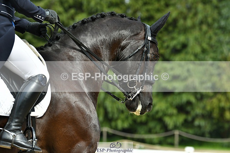 230525-150714-04553 - 424-MDSANDYHILL_ZORRO-Imogen_Murray-DR
