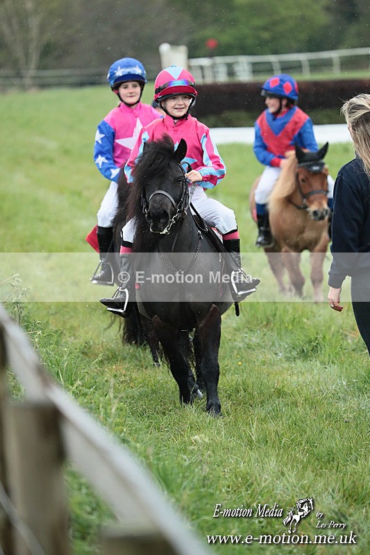 SHETPR 210425 142 - Shetland Ponies Paxford Races 21/04/25