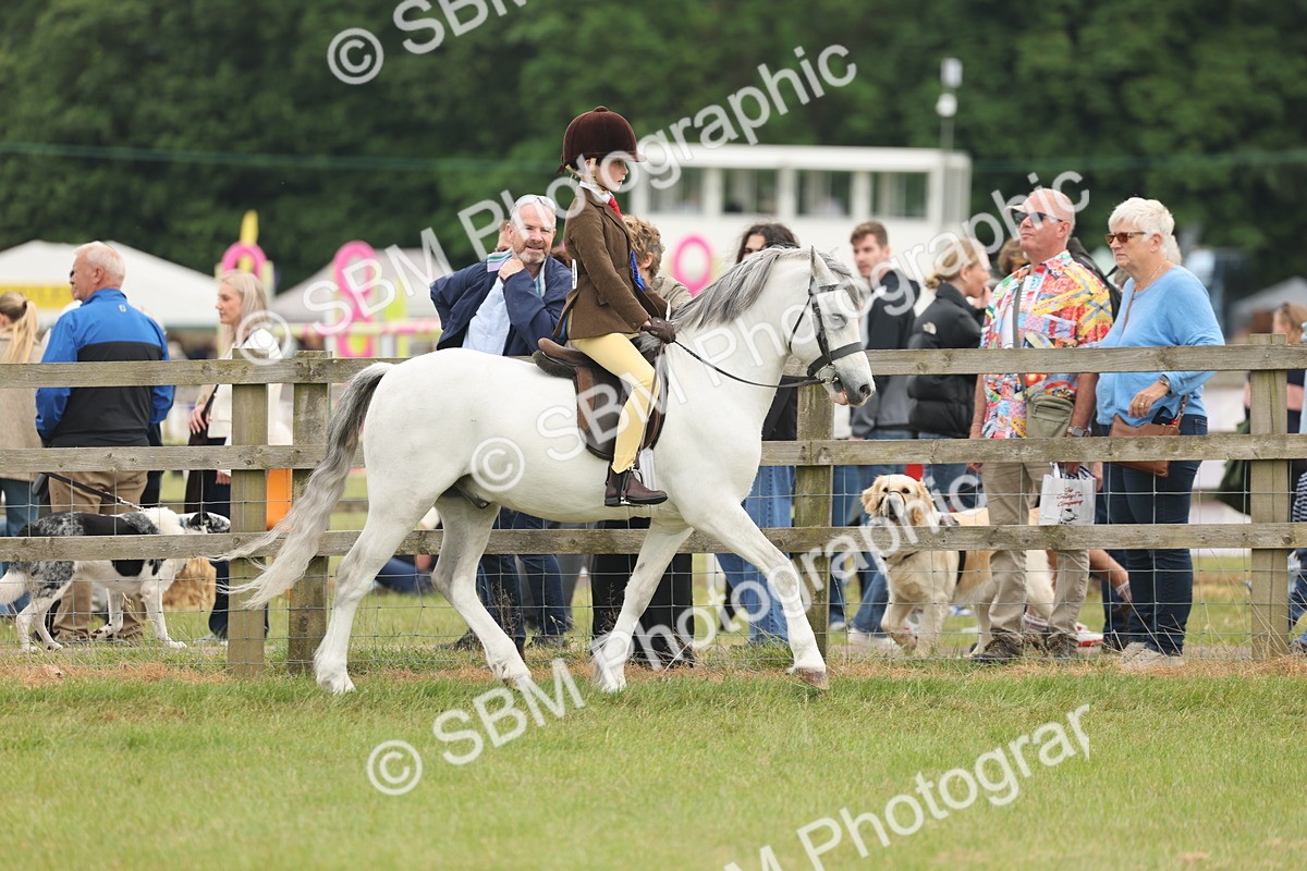 SBM_06929 - Class 74-75 - M&M Lead Rein and First Ridden Pony