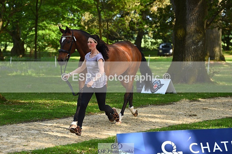 230524-172222-01472 - 179-JARSON-Charlotte_Agnew-WEDTrotUp+DR