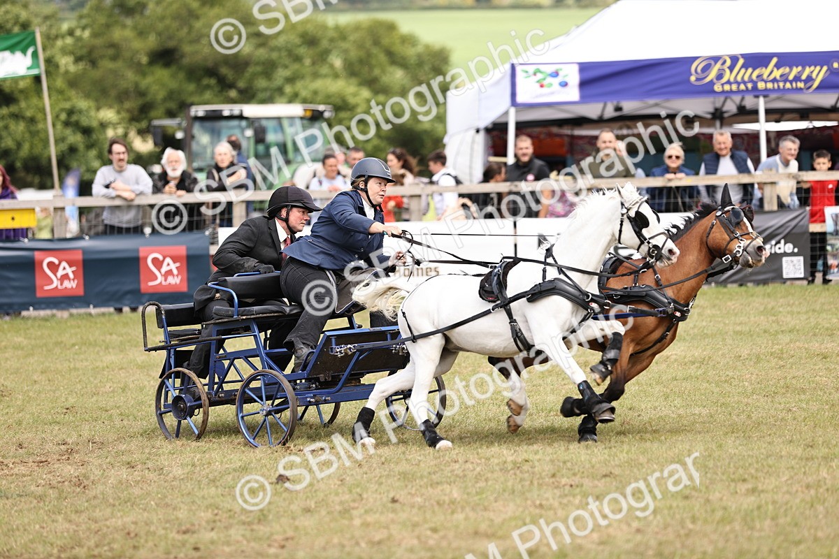 SBM_16054 - Class 91 - Scurry  exceeding 122cms