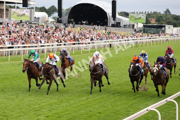 yr23072021r5-16 - Race 5 8.00pm Gallop Racing Stakes