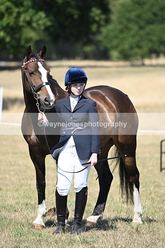 WJ6_8692 - Class 37b Best Loan Pony In-hand