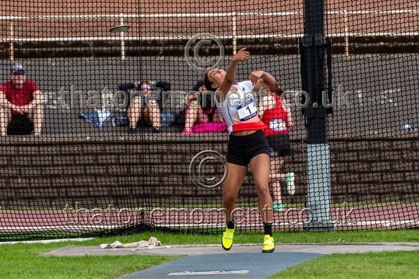 SIAB23-528717 - Field Female Set Two