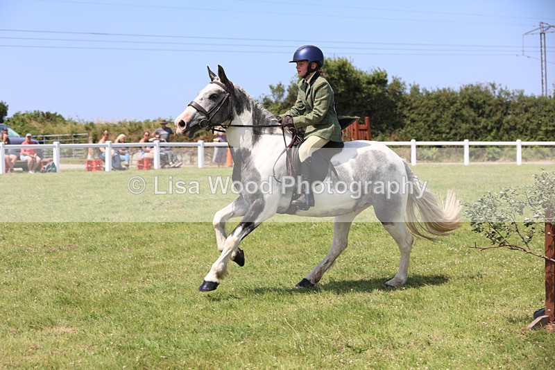 JPP_3196 - Class 22: Working Hunter 70cm