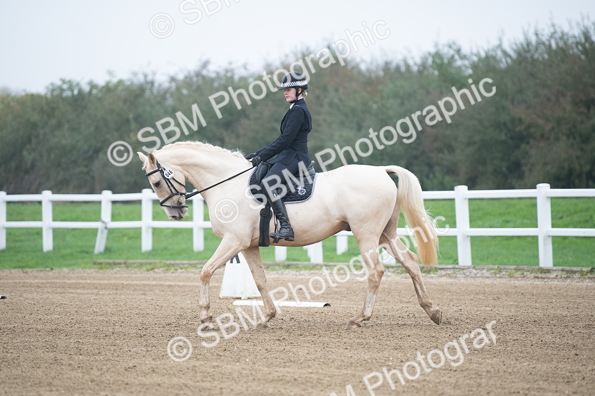 SBM_003335 - Introductory Test 3